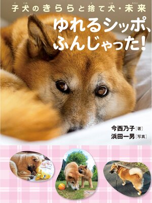 cover image of 子犬のきららと捨て犬・未来ゆれるシッポ、ふんじゃった!
